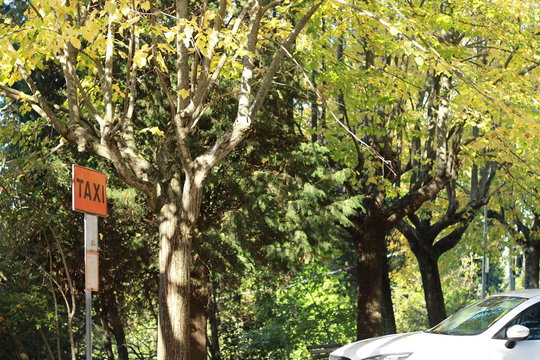 Letrero de taxi en un paradero
