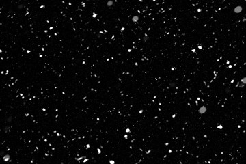 Snow overlay effect on the black background for photos.