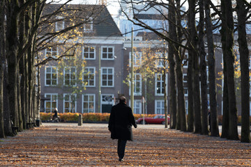 Man walking down a static lane of trees in a row in autumn towards the city beyond the park