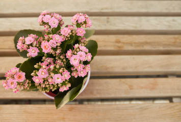 Bouquet of fresh wildflowers in a basket