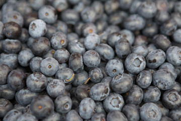 Fresh juicy blueberries on the market