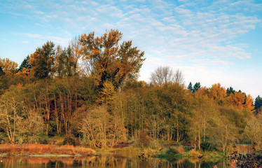 Percivil Cove, Olympia Washington