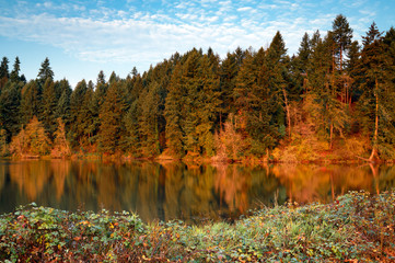 Percivil Cove, Olympia Washington