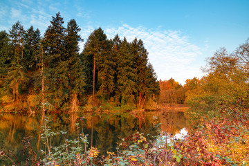 Percivil Cove, Olympia Washington