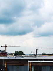 Naklejka premium balloons in sky