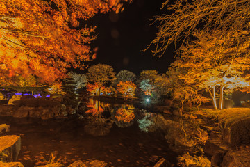 秋の桜山公園の風景