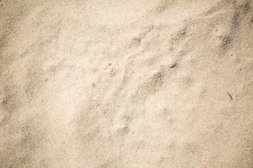 Close up of sandy sea shore. Sand structure.