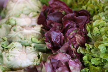 Obraz premium Salad mix with rucola, frisee, radicchio and lettuce.