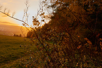 Sonnenaufgang im Herbst in den Alpen
