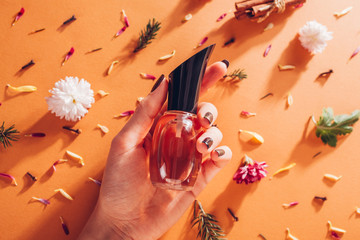 Woman holding bottle of perfume with ingredients. Fragrance of flowers, spices, herbs and fir tree