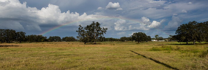 rainbow field panorama