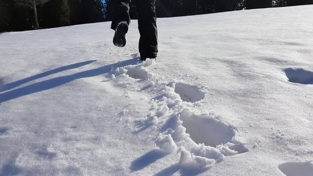 Walking through deep snow on hill in black forest, Germany.