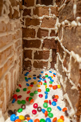 Christmas bakery tree and cookie