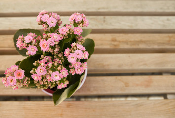 Fototapeta na wymiar Bouquet of fresh wildflowers in a basket