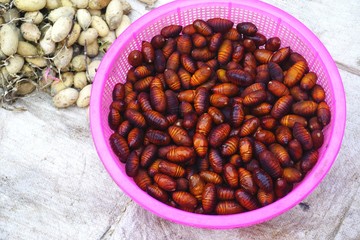 Closeup of edible insect pupa and silkworm cocoons at a market in Luang Prabang, Laos