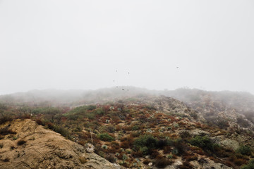 aerial view of a mountain landscape