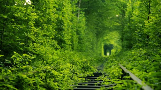 Tunnel Of Love