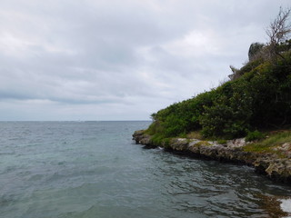 Fototapeta premium Sam's Photography Service Pictures 