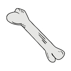 Bone illustration design