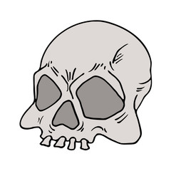 old skull draw
