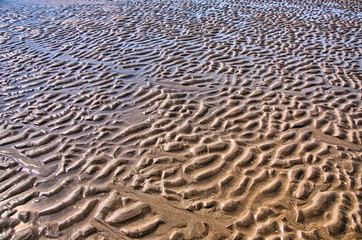 Furrows in the beach, North Sea, Zandvoort near Amsterdam, Holla