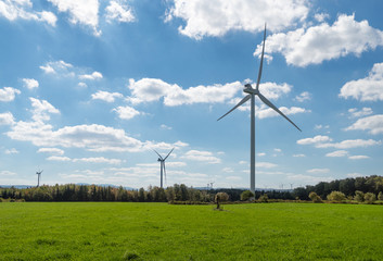 Wind turbines in a field