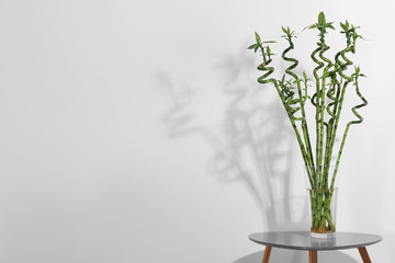 Vase with green bamboo on table against light background. Space for text