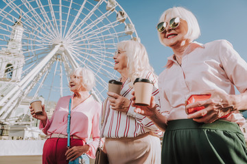 Sanny day. Waist up portrait of friendly meeting of three stylish older women holding coffee with ferris wheel on background