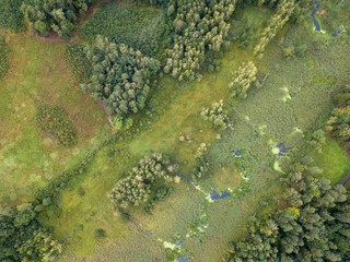 Beautiful green drone landscape with small wild river in forest