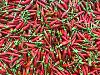 Close-up of fresh red pepper, Food background