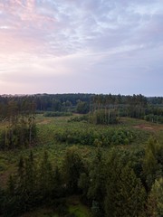 Aerial: Summer sunset over foggy forest