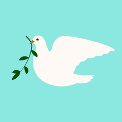  dove   bird  vector illustration flat style  profile