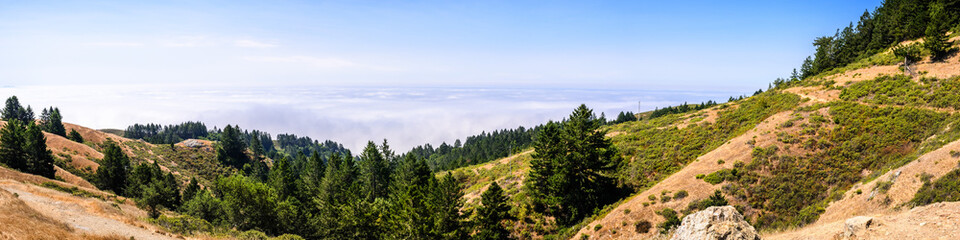 Fototapeta na wymiar Panoramic view of the hills and valleys of Mt Tamalpais State Park, sea of clouds covering the Pacific Ocean in the background; Marin County, north San Francisco bay area, California