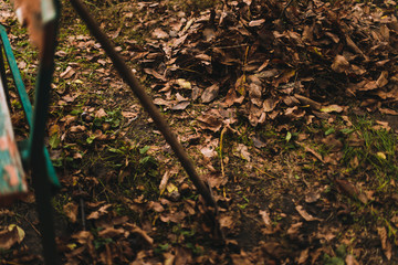 7520560 Rake with fallen leaves at autumn.