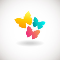 Vivid colors butterfly logo