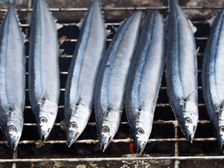 さんまの炭火焼