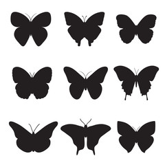 Black butterflies on white background.