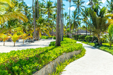 Fototapeta premium Buildings among palm trees in the resort of Punta Cana.