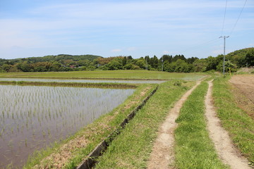 農道　水田