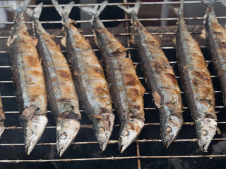 さんまの炭火焼