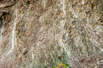 Natural wall texture with soil, stones and tree roots closeup, background