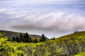 Layer of fog covering the Pacific Ocean but leaving the coastline visible, Marin County, north San Francisco bay area, California