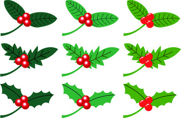 English holly Leaves and fruits set