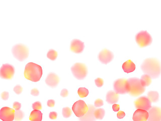 Rose gold petals flying cosmetics background.