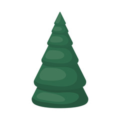 green winter pine isolated icon