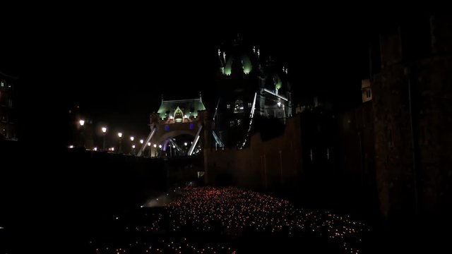 The flames and music are stunning at london memorial week with flames and a massive crowed!