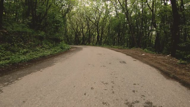 Running on an asphalt road in the forest is a first-person view with a rhythmic swaying of the camera. POV. screen saver emulator