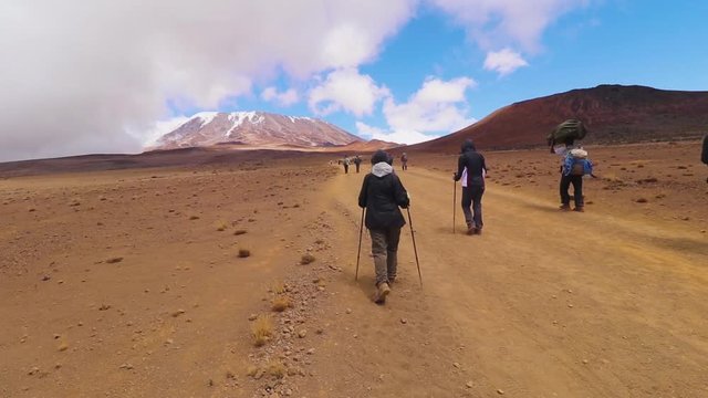 Static shot of a group of people hiking, using trekking poles and towards the summit of mount Kilimanjaro, on a sunny day, near Horombo hut, in Tanzania, Africa