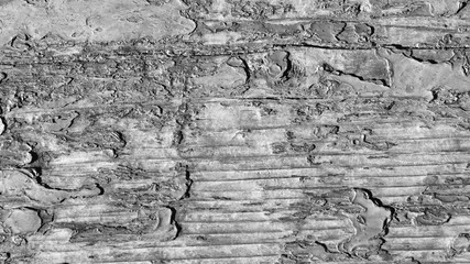 black and white background. peeling paint on an old wooden floor