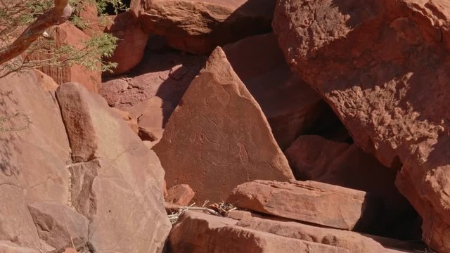 Zoom in on Twyfelfontein rock engravings on sandstone slab in Namibian desert